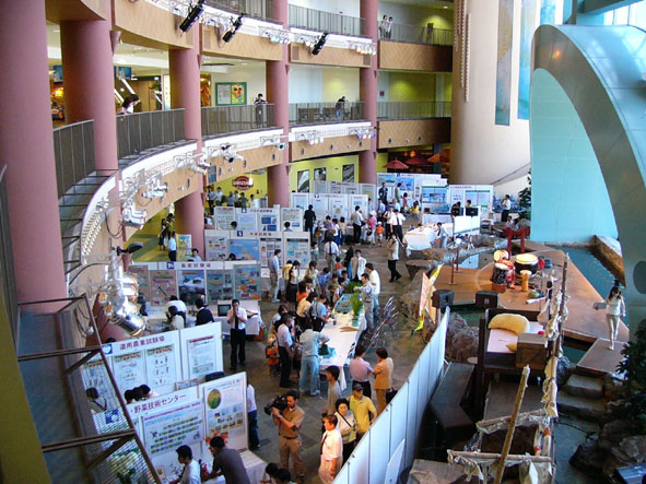 ���̗l�q�ł��B